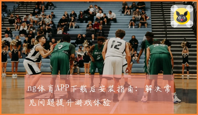 ng体育APP下载后安装指南：解决常见问题提升游戏体验